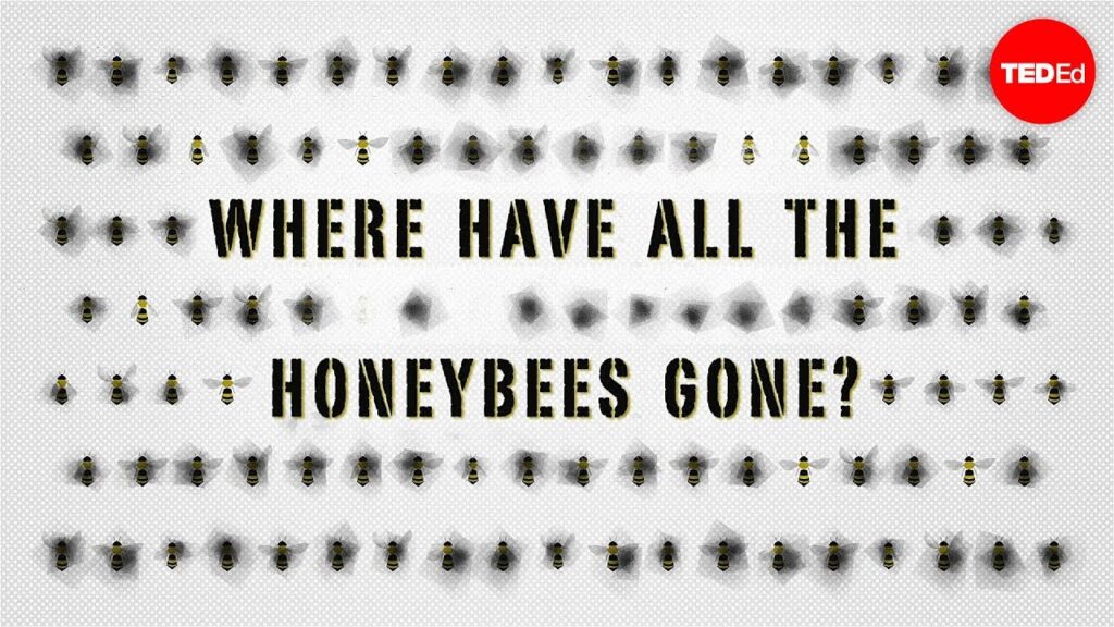 蜜蜂が消える環境の謎