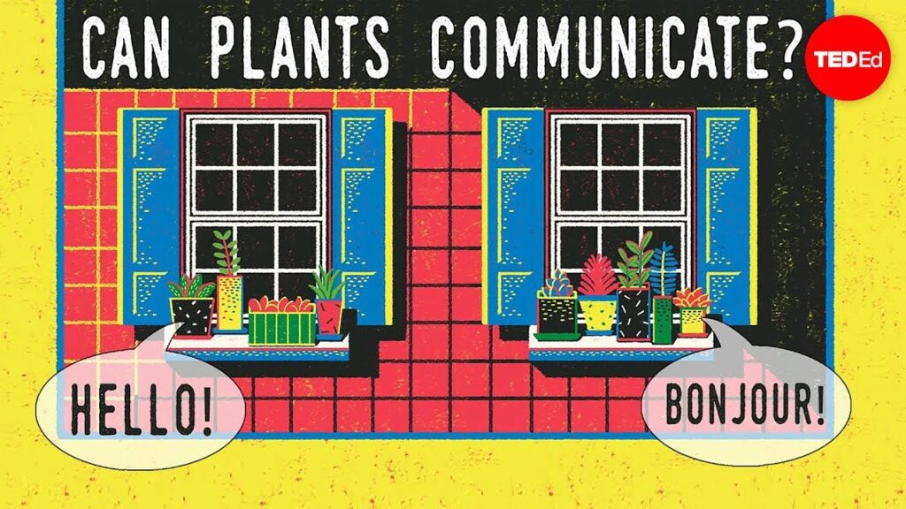 植物はお互いに話をすることができるのか？植物のコミュニケーションの理解