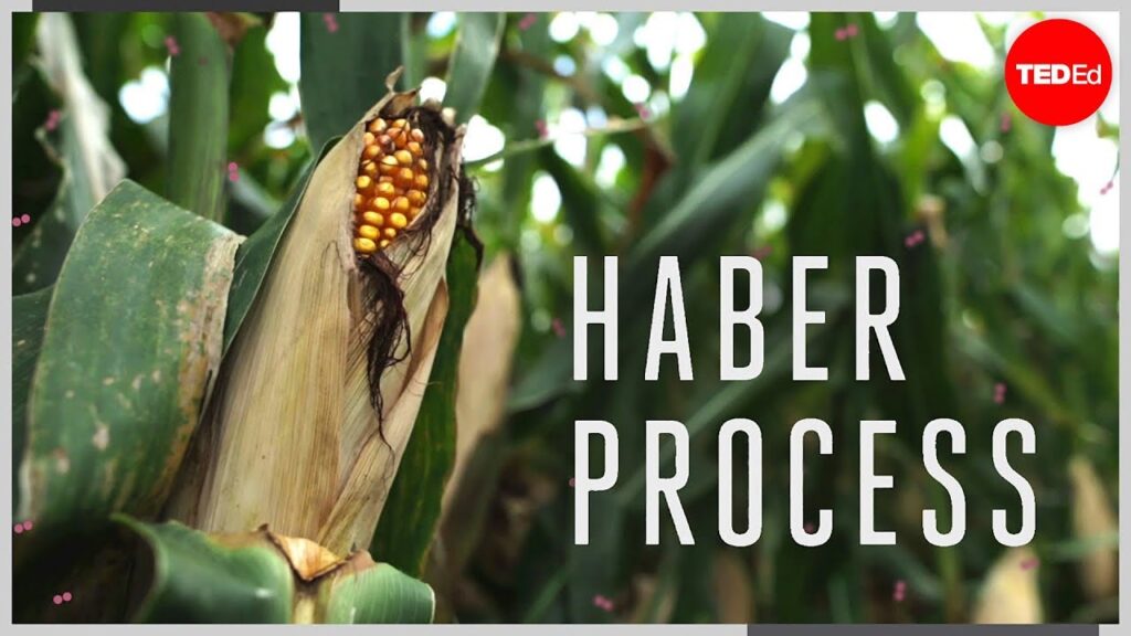 ハーバー法：農業の革命と環境問題への対処