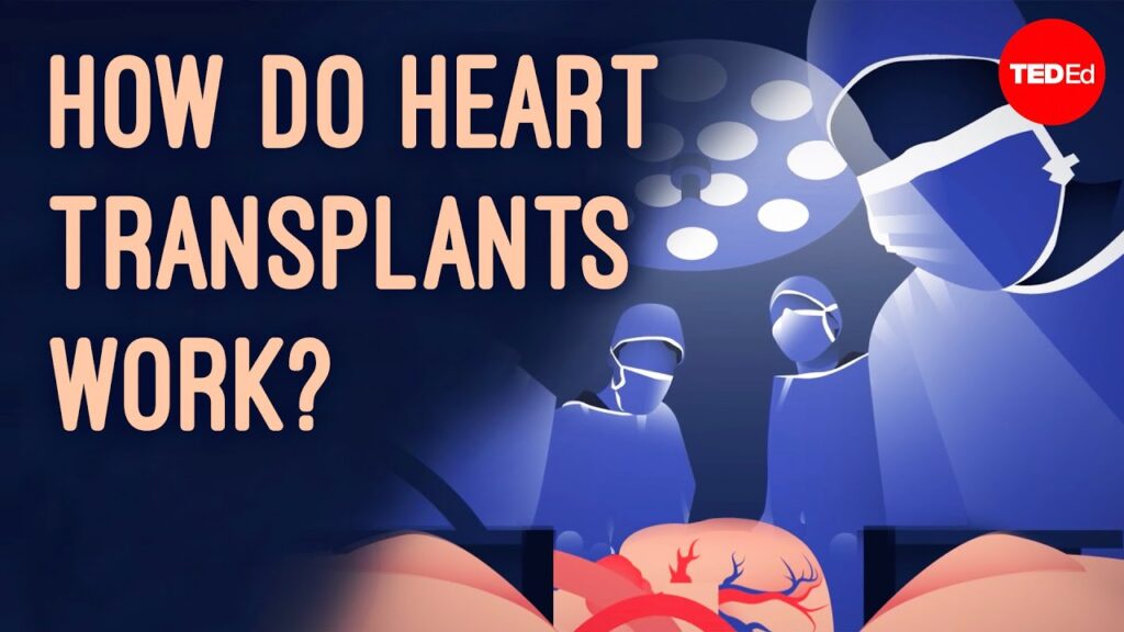 心臓移植の複雑なプロセス