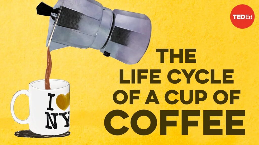 コーヒーの旅：農園からカップへ