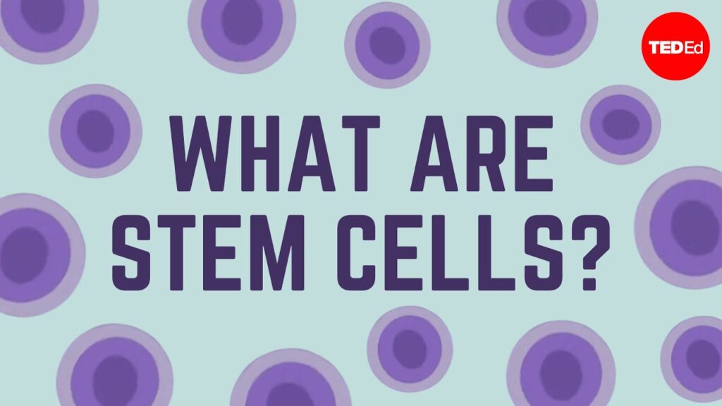 幹細胞：あなたの体に合わせた医療を実現する