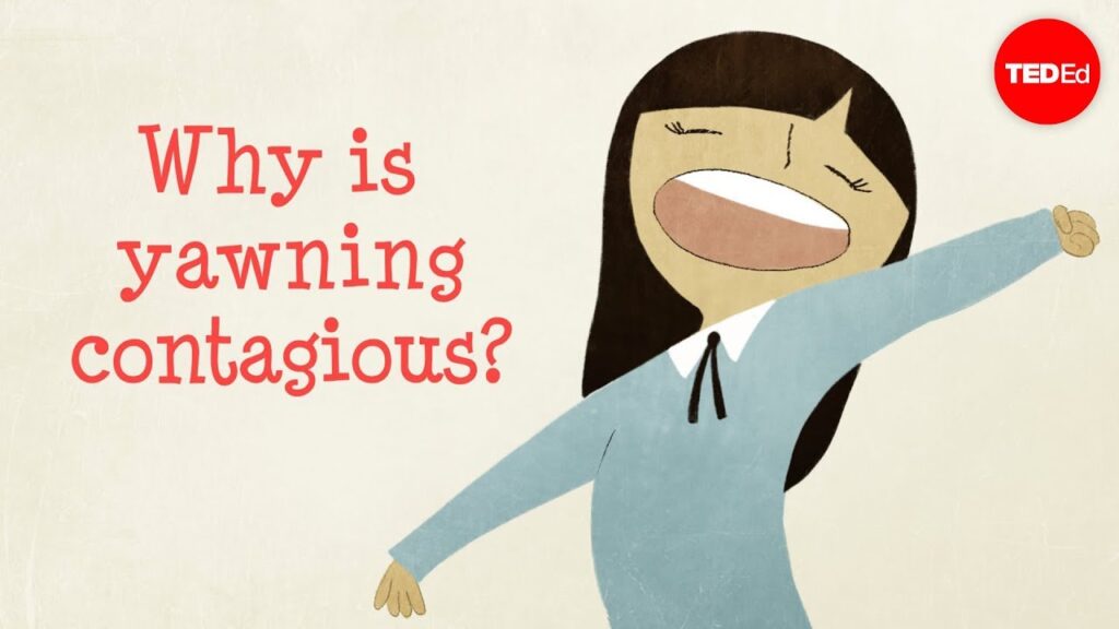 伝染性のあるあくび：なぜ他人があくびをすると私たちもあくびをするのか？