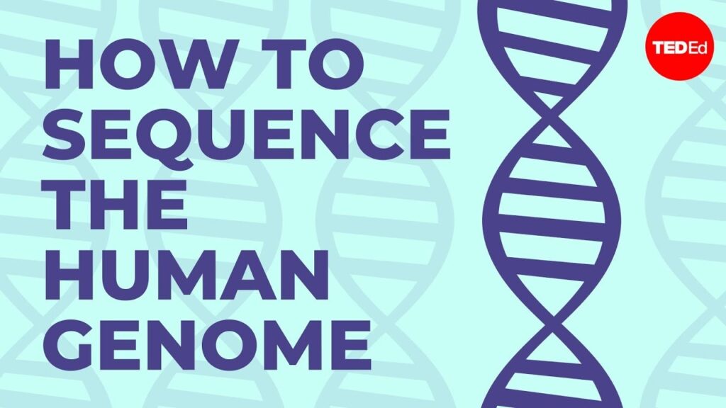 人間ゲノムの解読：私たちの違いと類似点を理解する