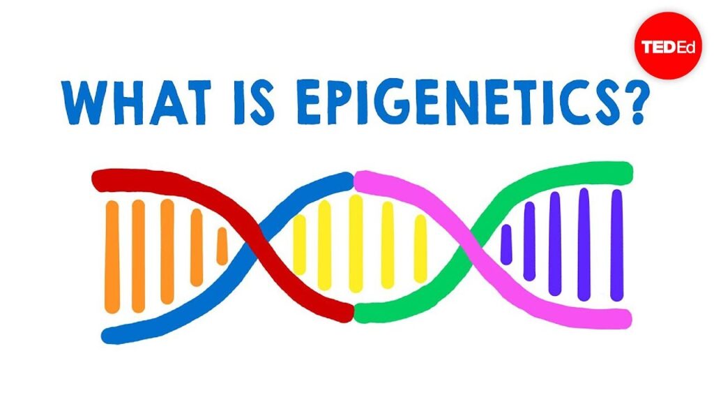 エピジェネティクスの力：環境が遺伝子を形作る方法
