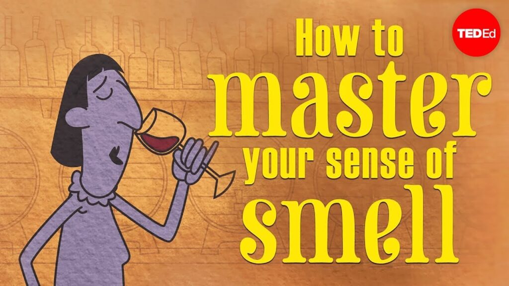 脳をより良く嗅覚する方法