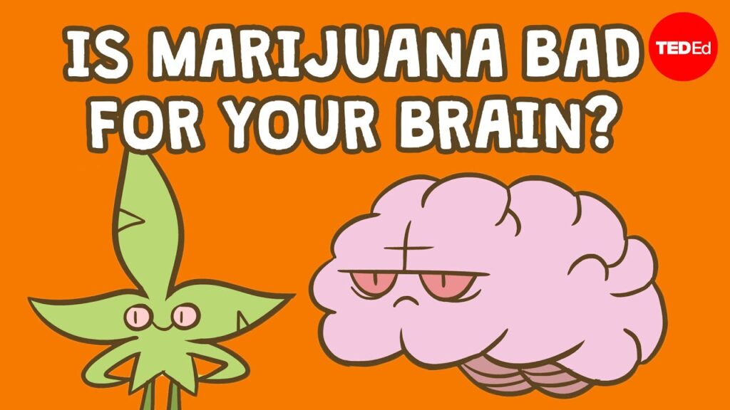 大麻のレクリエーション使用は脳に悪影響を与えるのか？