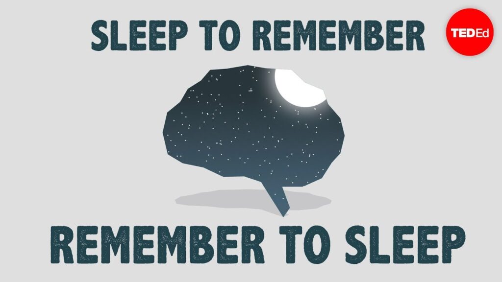 記憶定着における睡眠の重要性