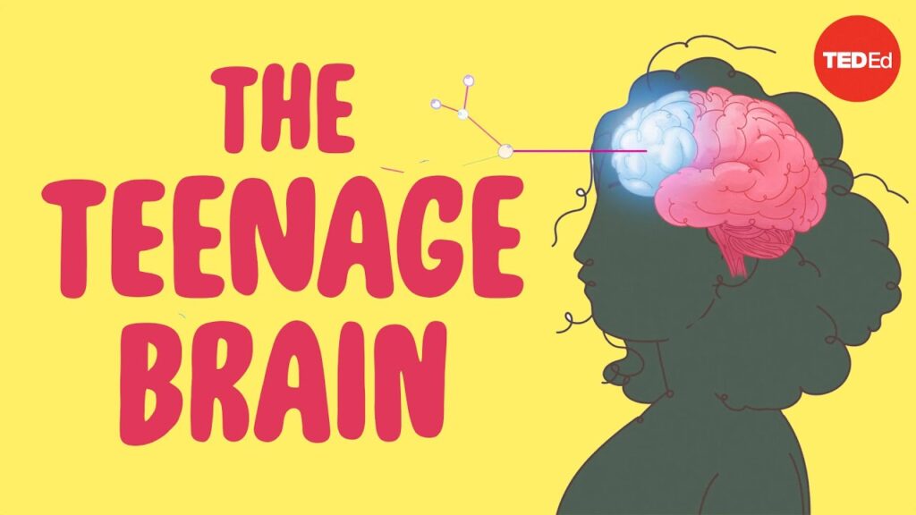 思春期と脳：魅力的な変化を理解する
