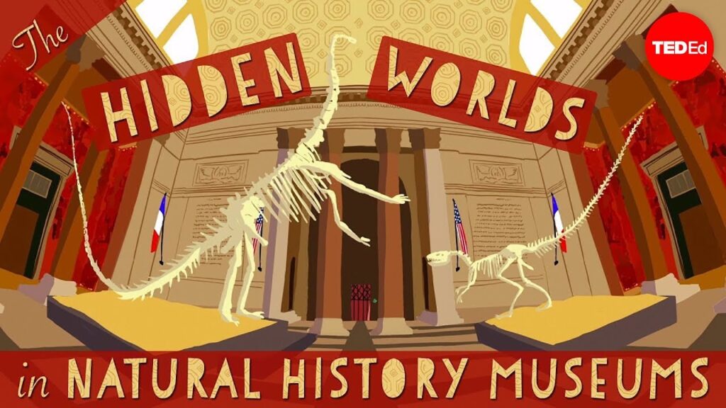 自然史博物館の隠された世界：科学的発見の宝庫