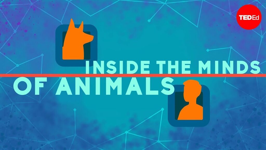 動物の知能：彼らは私たちと同じように考えるのか？