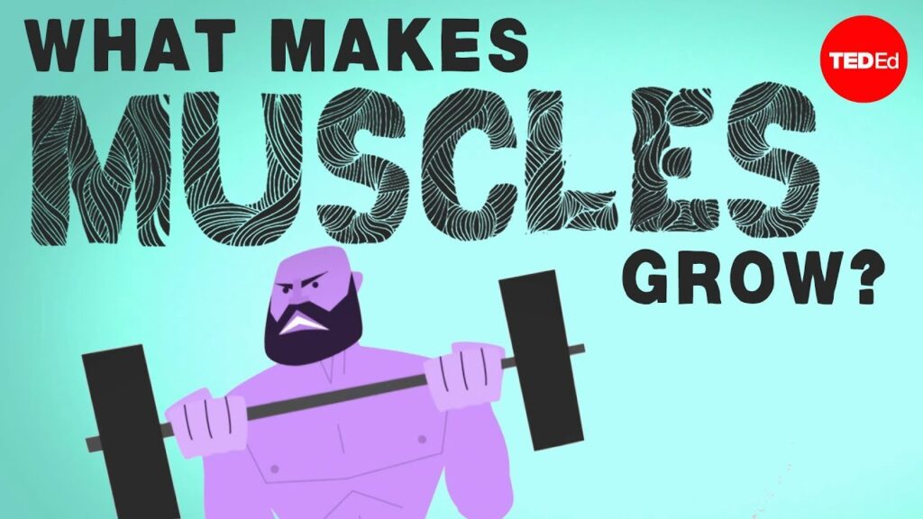筋肉成長の科学：筋肉の働きを理解する