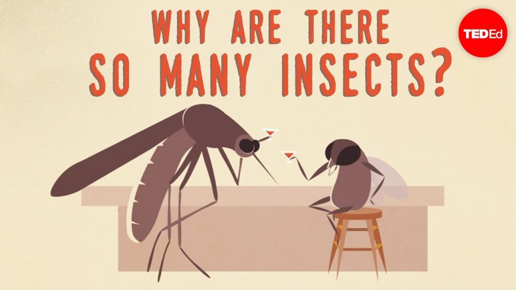 昆虫の成功の秘密：なぜ彼らが私たちより多いのか、そして彼らを適応力がある生き物にするもの