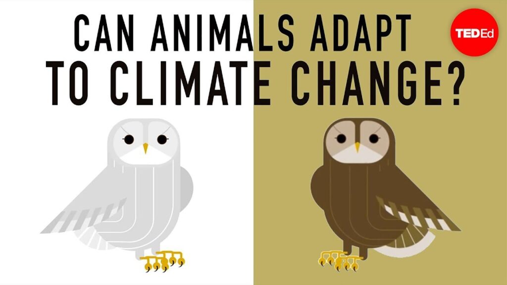 気候変動に適応する：種の進化的変化