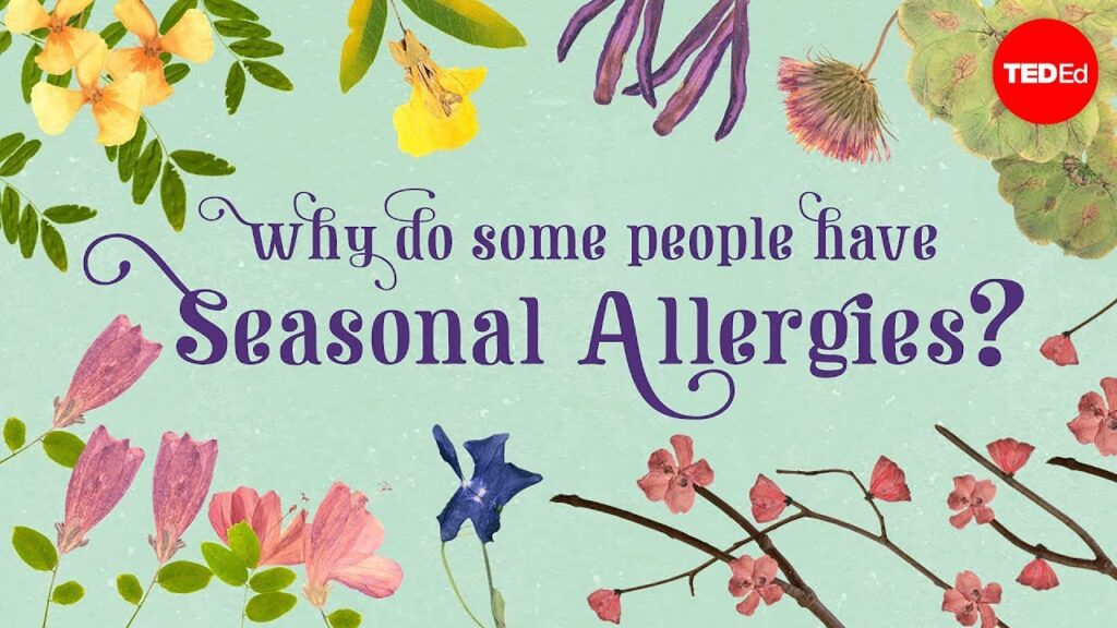 季節性アレルギーの理解：原因と治療