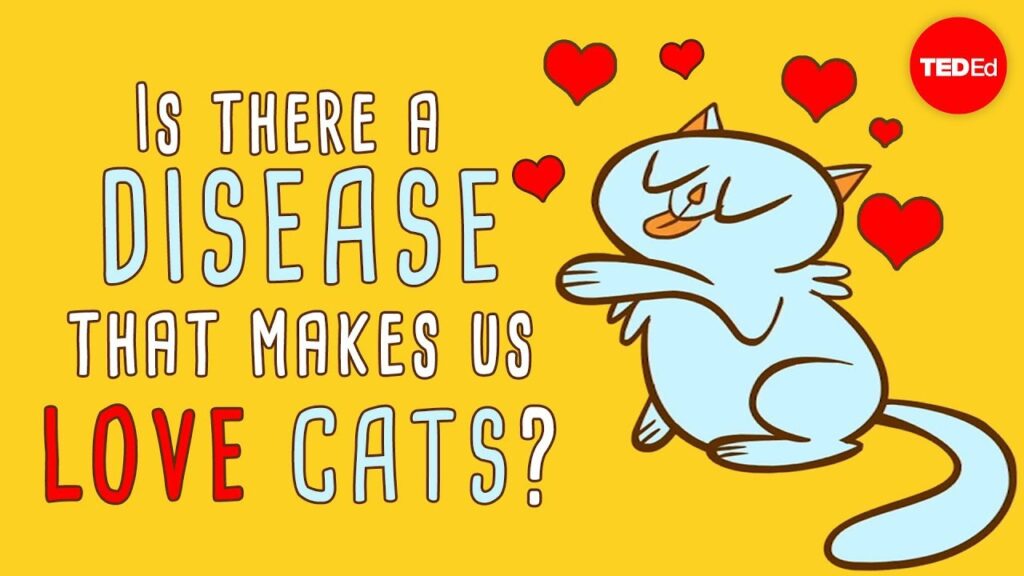 猫を愛する奇妙な病気：トキソプラズマ症