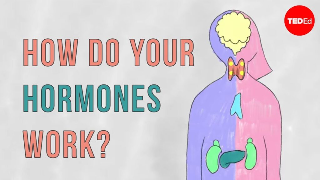 内分泌系：ホルモンの調節を理解する