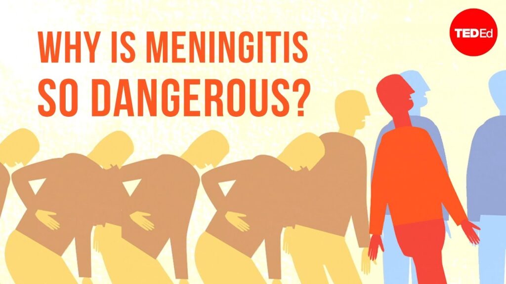 致死性髄膜炎の流行：病気の理解と予防方法