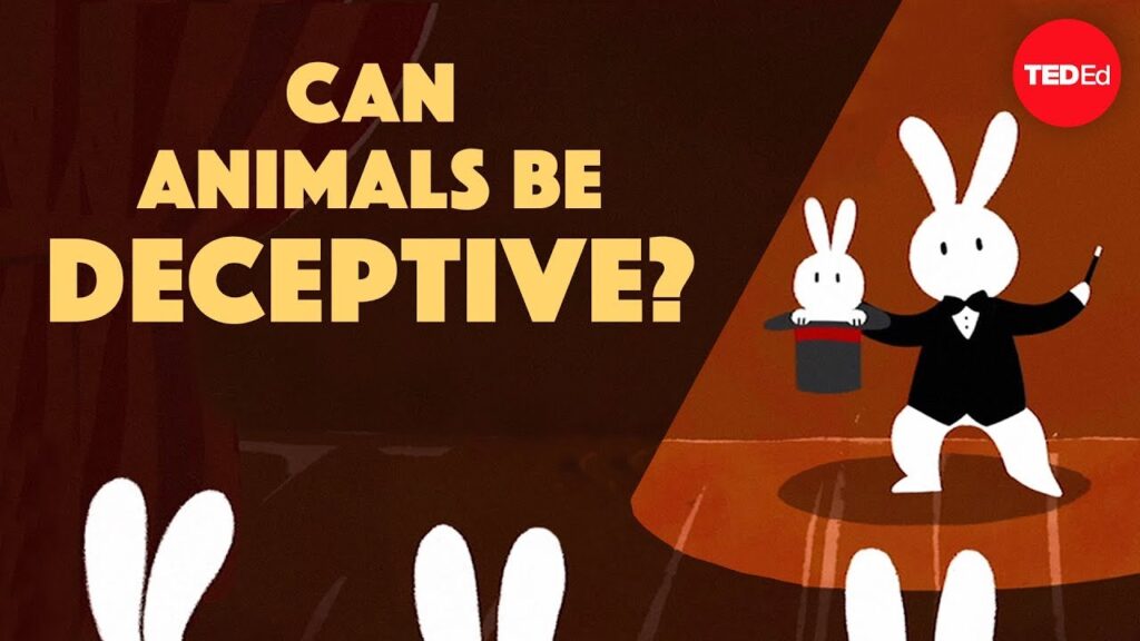 動物の欺瞞：どのように動物が生き残るためのトリックを使うか