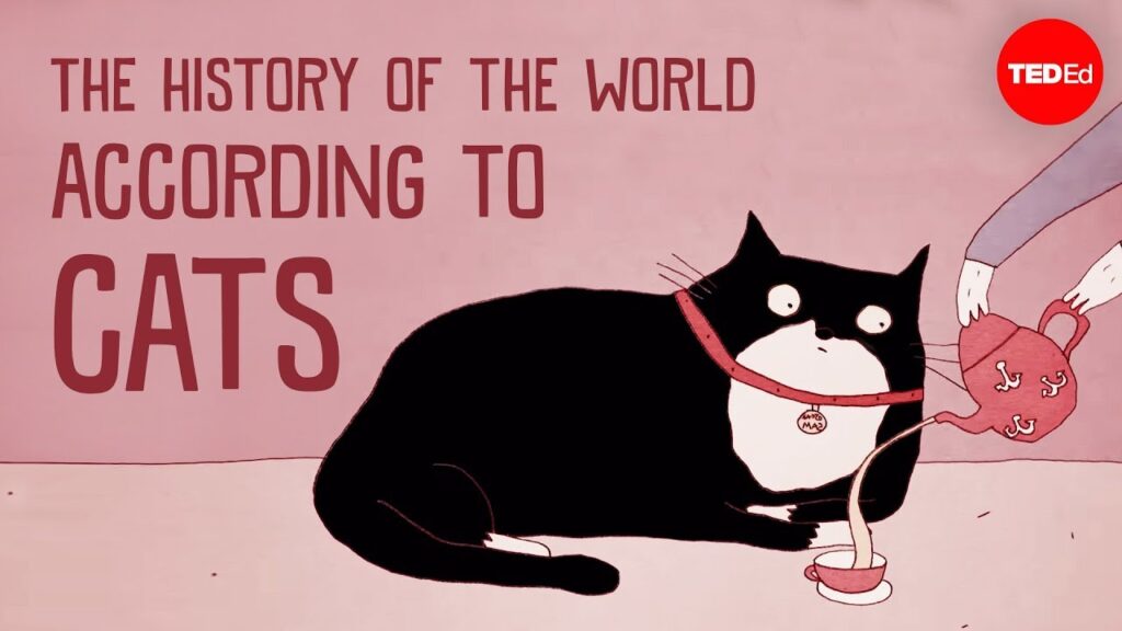 船員としての猫の歴史と仲間としての猫の歴史