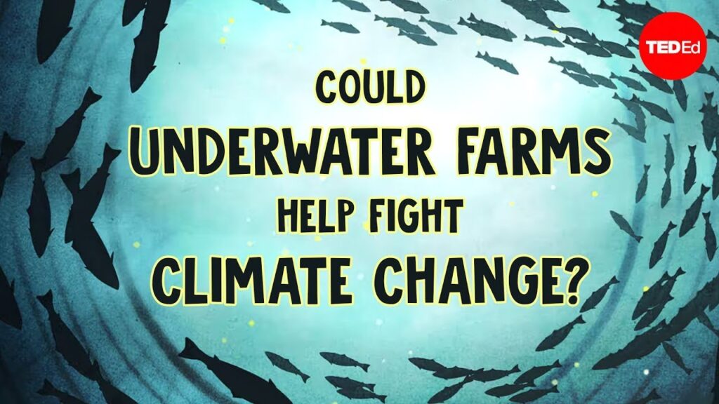 持続可能な水産業：責任ある海洋農業