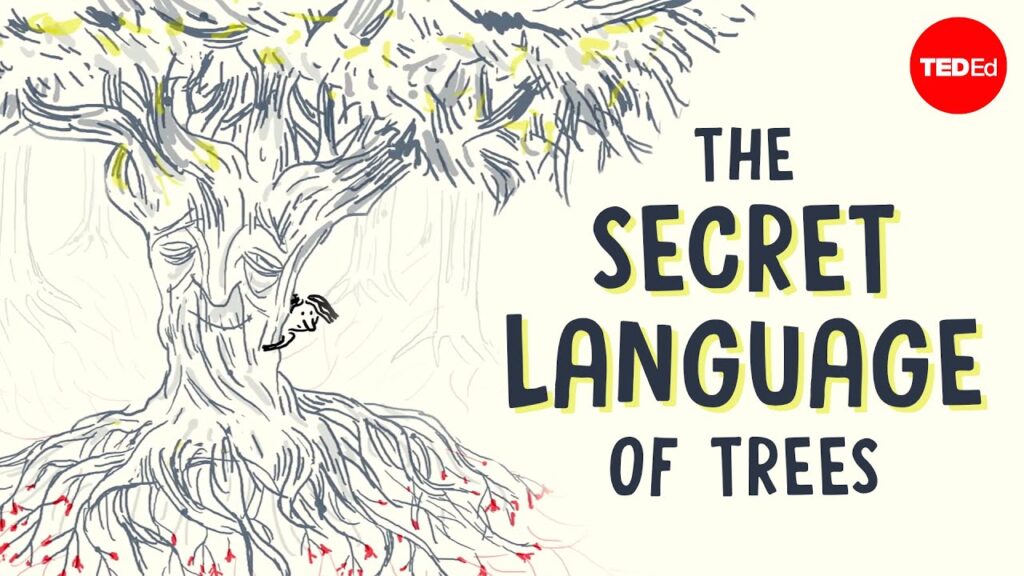 森林の秘密の生命：木々のコミュニケーションと繁栄