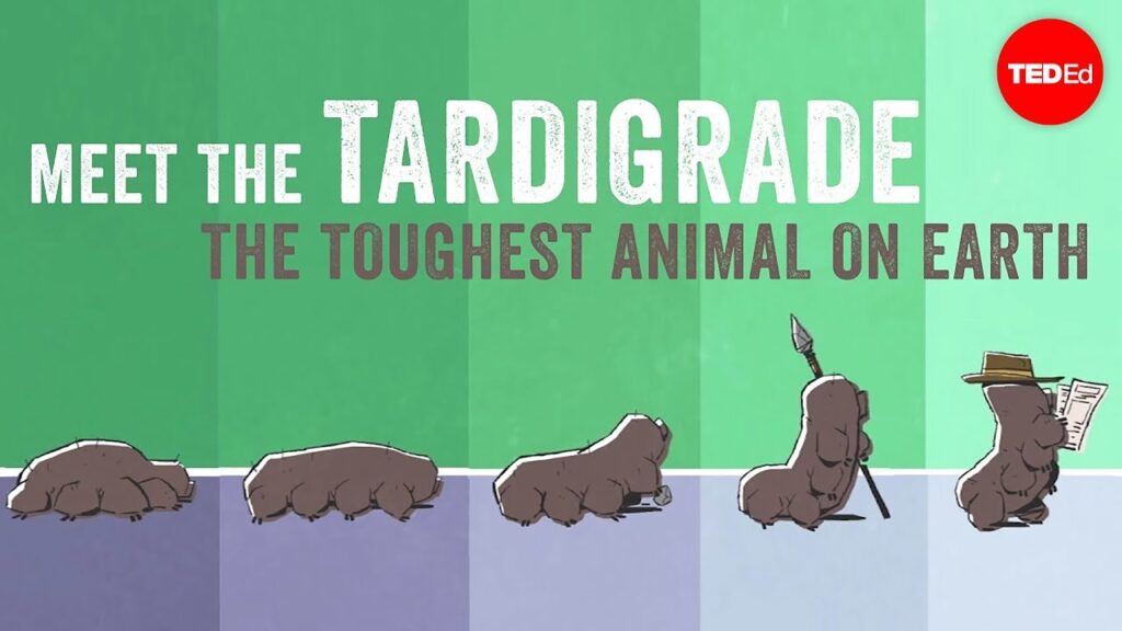 ターディグレード：地球上で最も強い生物