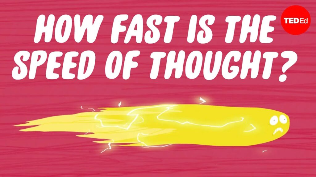 思考の科学：我々はどのくらい速く考えることができるのか？