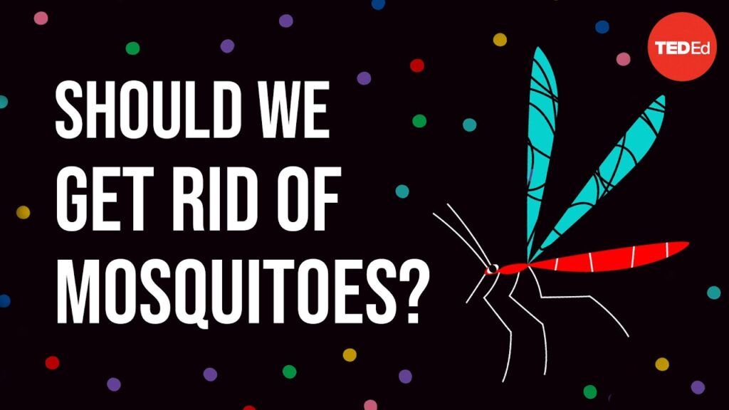 致命的な蚊を駆除するために遺伝子ドライブを使用すべきか？