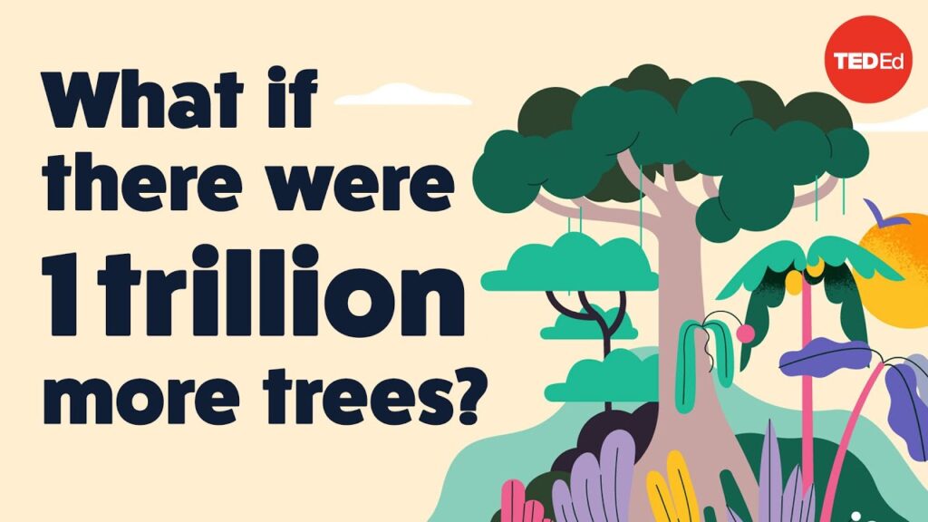 気候変動と戦うための木々の重要性