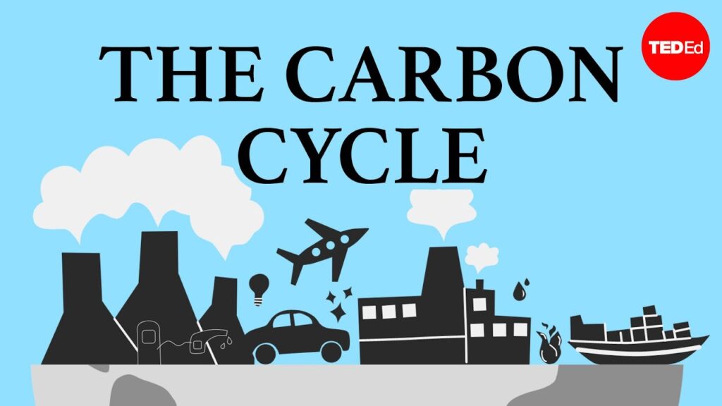 炭素循環と気候変動：持続可能な技術の重要性を理解する