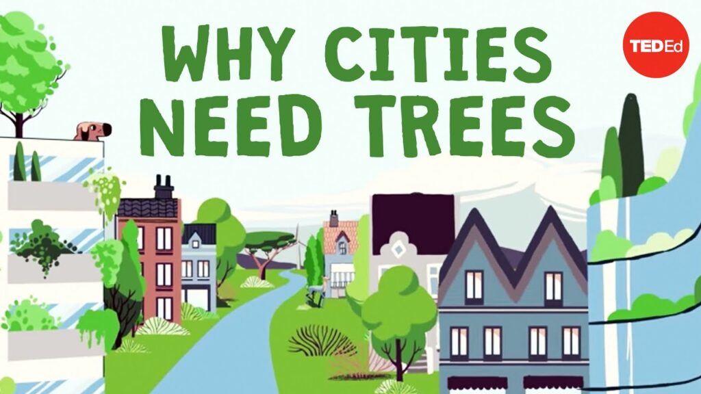 都市環境における木々の重要性