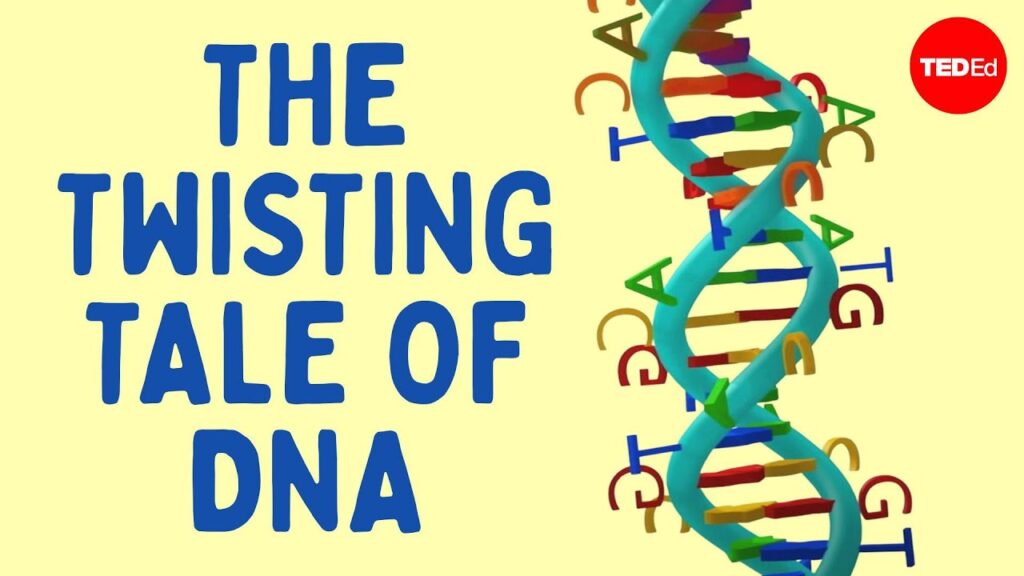 DNAの驚くべき世界：生命を決定する仕組み