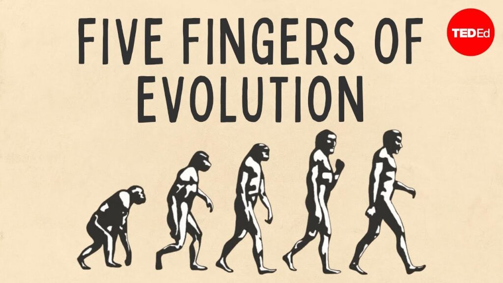 進化の五本の指：進化を引き起こすプロセスを理解する