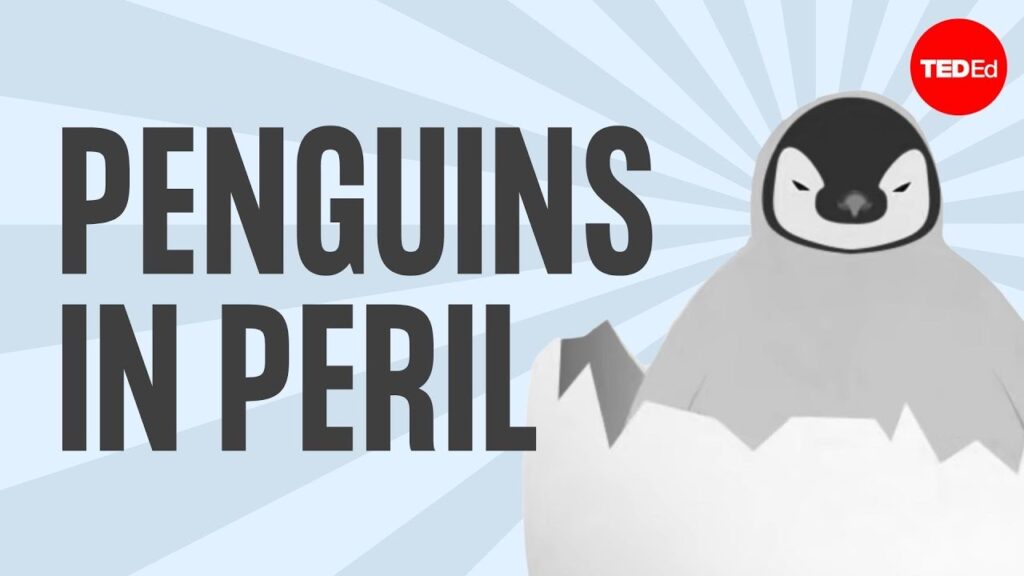ペンギンの真実：危険な状況にある優雅な鳥
