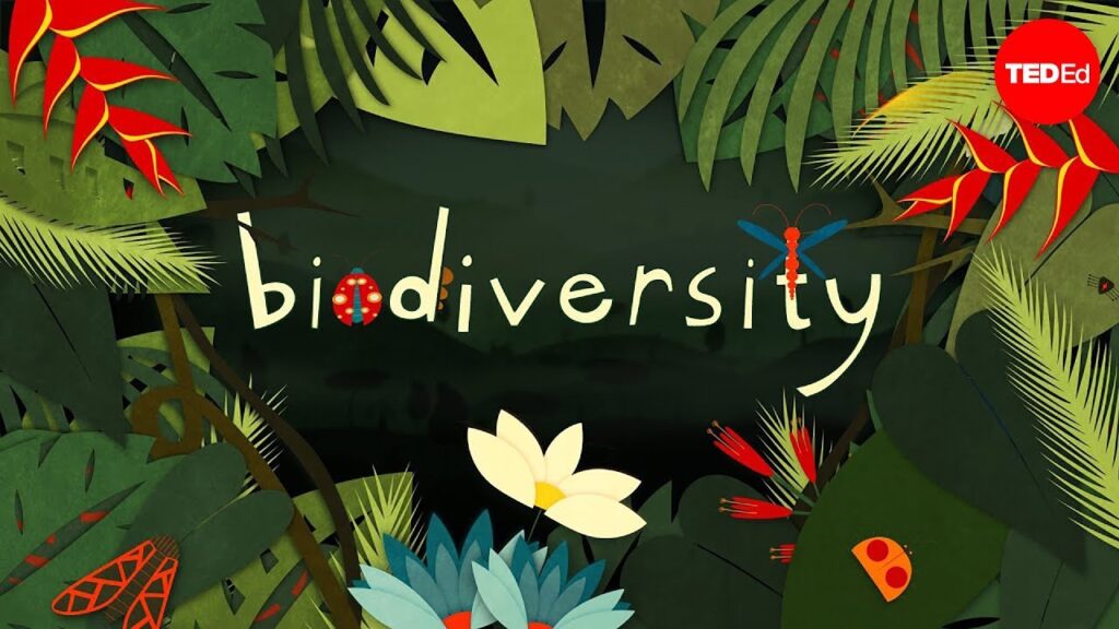 生態系における生物多様性の重要性：生態系、種、遺伝子の多様性が相互作用して強靭性を生み出す