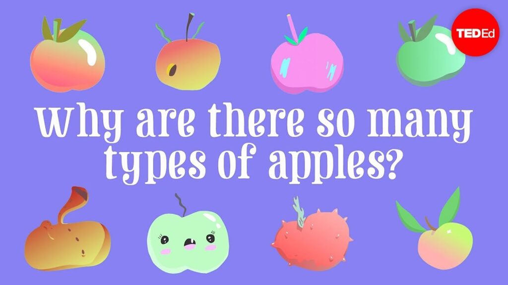 なぜリンゴにはたくさんの種類があるのか？