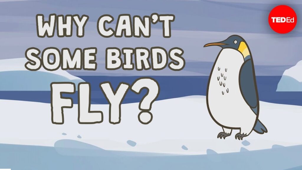 飛べない鳥：地上生活する鳥類の進化と生存