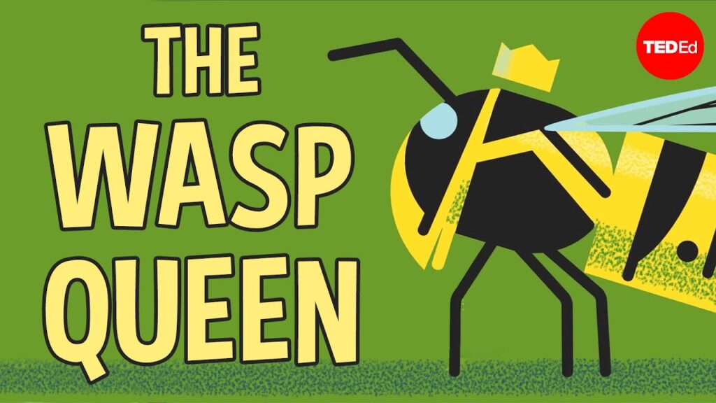 ハチの女王の生活：昆虫界で生き残り、繁栄する