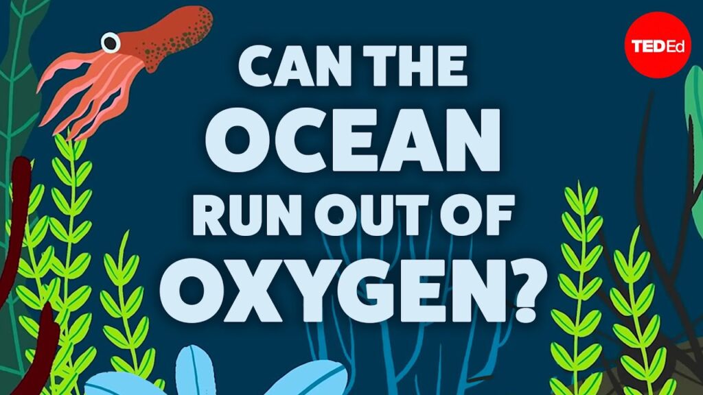 なぜ海洋に死の海域が形成されるのか？