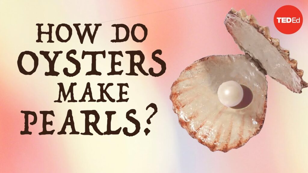 カルシウムカーボネートの芸術と科学：牡蠣から真珠へ