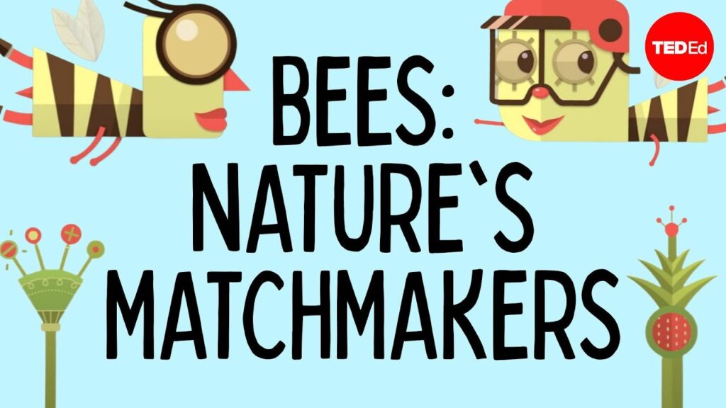 蜜蜂の重要性：自然界の仲人