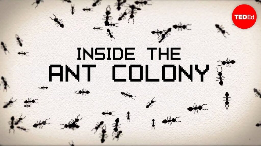 アリの魅力的な世界：アリコロニーの複雑な社会組織を理解する