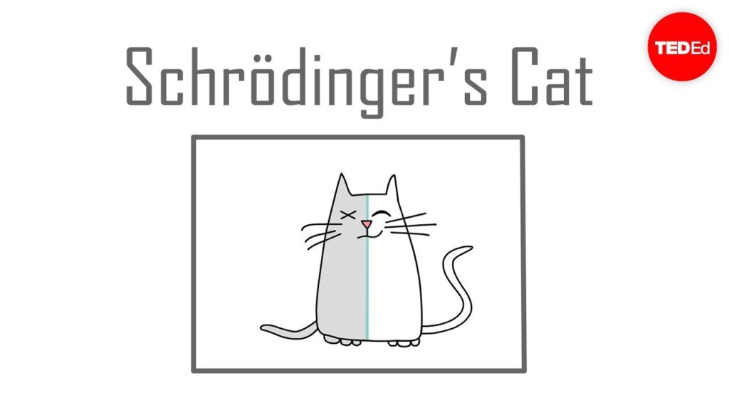 シュレディンガーの猫：量子物理学の真の概念