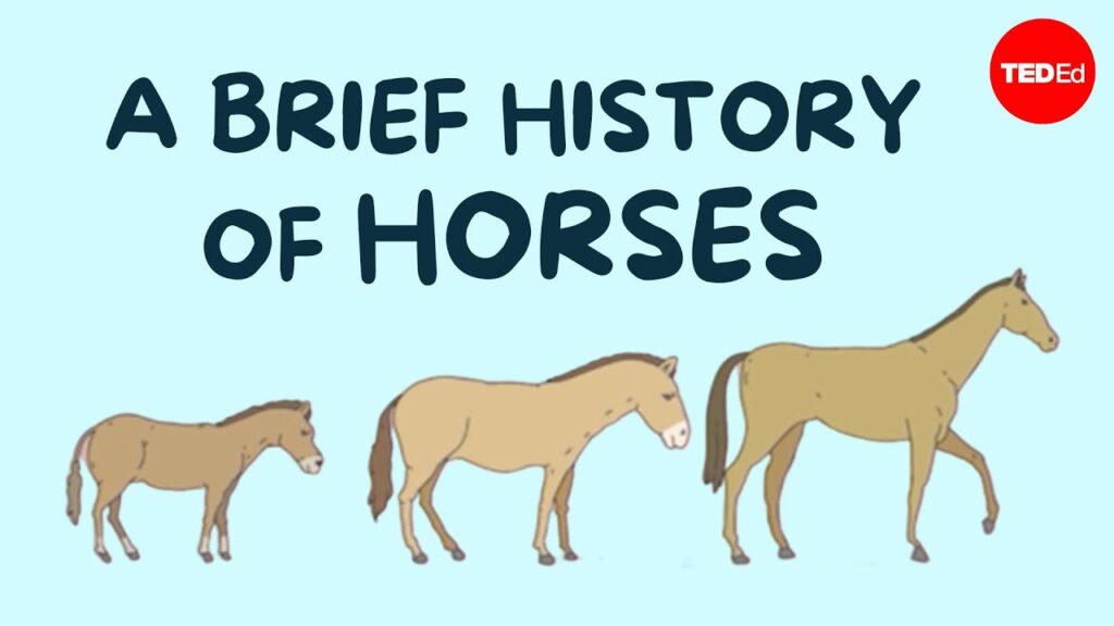 馬の長い旅：野生動物から文明の中心へ