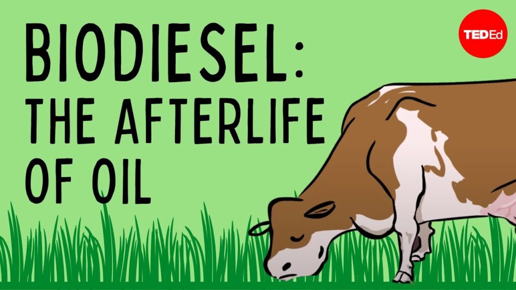 バイオディーゼル燃料のための使用済み調理油のリサイクル：方法と重要性