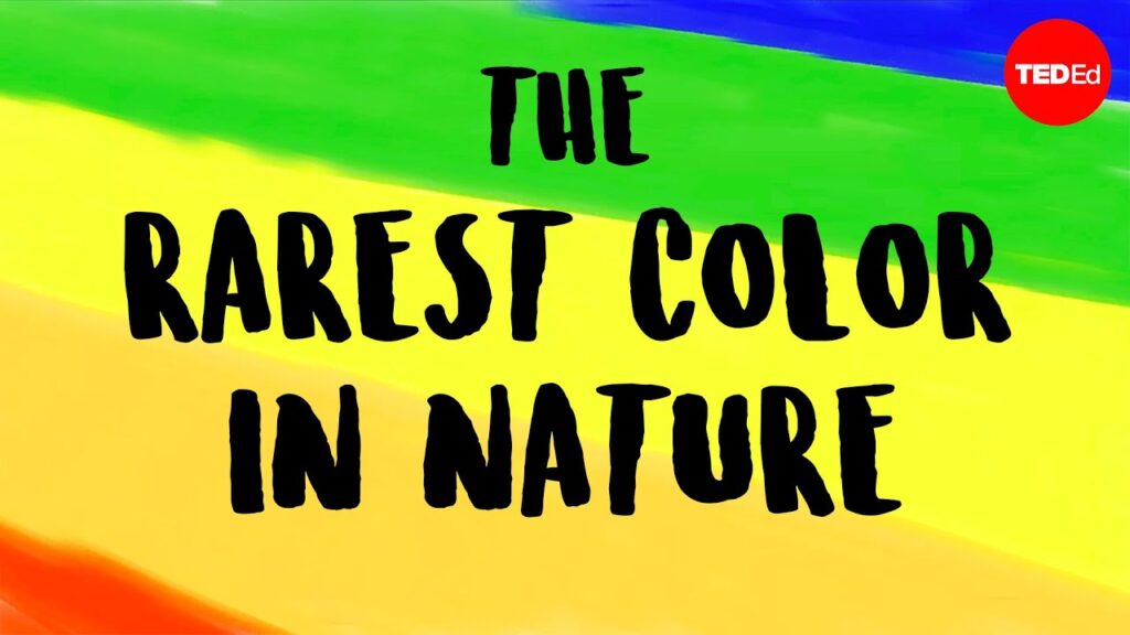 自然界で最も珍しい色：その珍しさに寄与する物理学と進化の探求