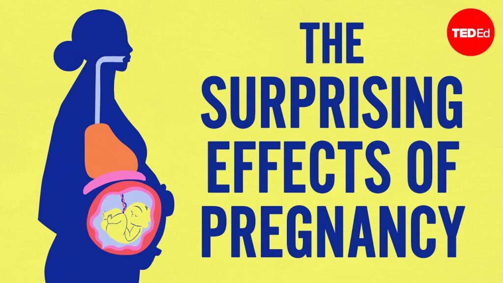 妊娠の驚くべき生物学：女性の体の変化の理解