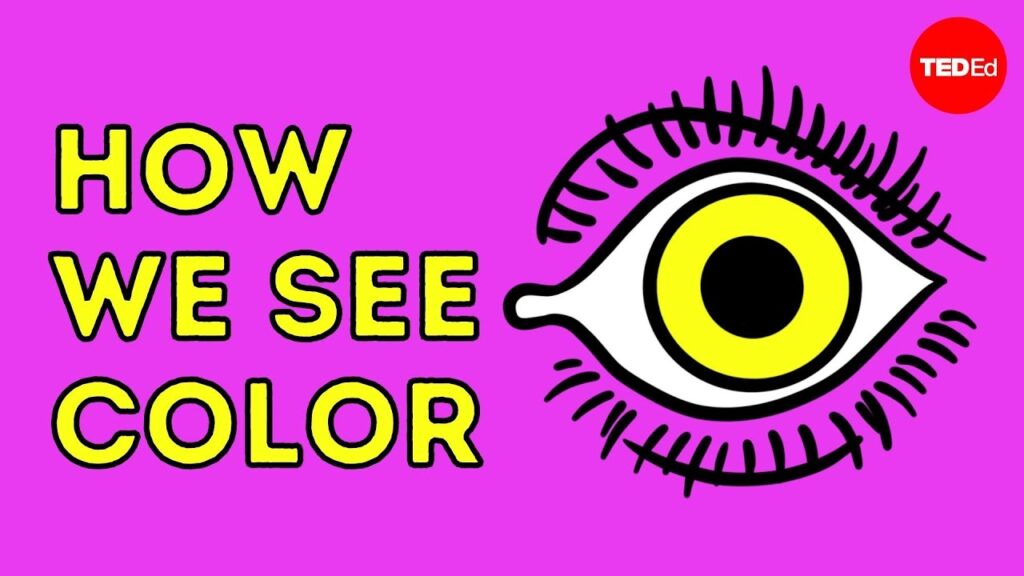 色を見る理由：色知覚の科学を理解する