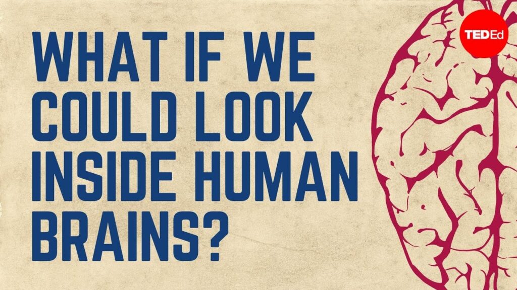 人間の脳を探求する：てんかんの理解と謎の解明